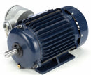 Marathon Motors 1 1/2 HP Hazardous Location Motor,3-Phase,1755 Nameplate RPM,208-230/460 Voltage,Frame 145T - 145TTGN6526