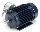 Marathon Motors 2 HP Hazardous Location Motor,3-Phase,1755 Nameplate RPM,208-230/460 Voltage,Frame 145T - 145TTGN6527