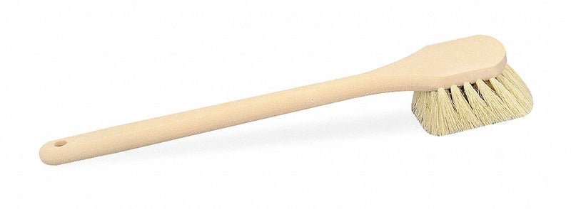 Tough Guy 20 inL Tampico Long Handle Utility Brush, Natural - 1VAE6