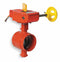 Gruvlok Grooved-Style Butterfly Valve, Ductile Iron, 300 psi, 10 in Pipe Size - 7005015149