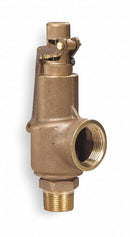 Aquatrol Bronze Safety Relief Valve, MNPT Inlet Type, FNPT Outlet Type - 88B2-250