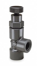 Hayward Globe Valve, FNPT x FNPT, PVC, 2 in Pipe Size - Valves - AV10200T