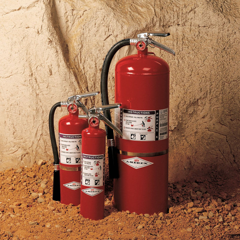 Amerex Fire Extinguisher, Purple K, Potassium Bicarbonate, 20 lb, 120B:C UL Rating - A413
