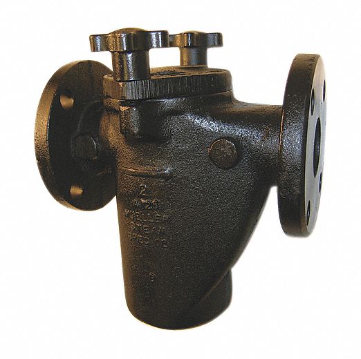 Mueller Steam Specialty Basket Strainer, 304 SS, 2", Flanged, Buna-N - 2 125F