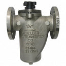 Mueller Steam Specialty Basket Strainer, 304 SS, 3", Flanged, Viton - 3 125F SS