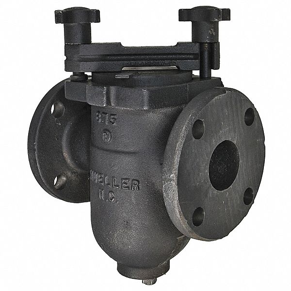 Watts Basket Strainer, 304 SS, 2", Flanged - 2 155M-n