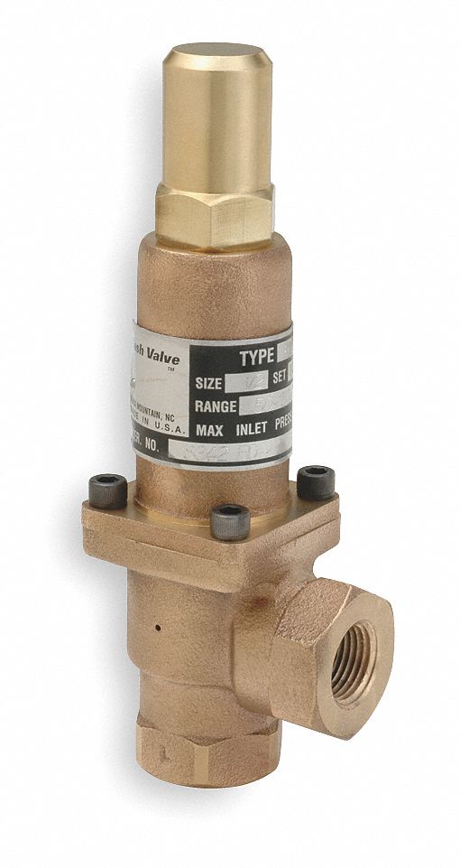 Cash Valve Bronze Adjustable Back Pressure Relief Valve, FNPT Inlet Type, FNPT Outlet Type - 11835-0050MC