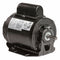 Century 1/2 HP Agricultural Fan Motor,Split-Phase,1725/1425 Nameplate RPM,115/208-230 Voltage,Frame 56 - PD1050AV1