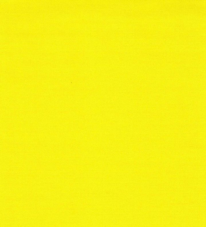 Enpac 95 gal Yellow Polyethylene Open Head Salvage Drum - 1295-YE