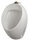 Gerber Vitreous China, White, Washout Urinal, Wall, Top - GHE27900