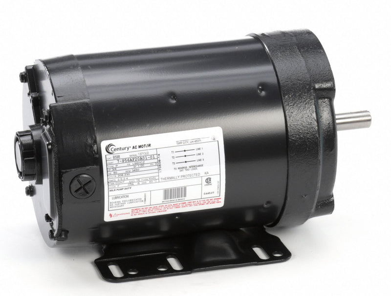 Century 3/4 HP Milk Pump Motor,3-Phase,3450 Nameplate RPM,208-230/460 Voltage,Frame 56HCZ - B598