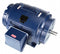 Marathon Motors 300 HP Fire Pump Motor, 3-Phase, 3568 Nameplate RPM, 460 Voltage, 447TS Frame - 447TSTDN7001