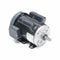 Marathon Motors 1 1/2 HP, General Purpose Motor, Capacitor-Start/Run, 1725 Nameplate RPM, 115/208-230 Voltage - 5KCR48WN0292