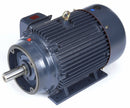 Marathon Motors 25 HP, General Purpose Motor, 3-Phase, 1780 Nameplate RPM, 230/460 Voltage, 284TC Frame - 284TTFCD6028