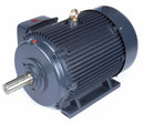 Marathon Motors 60 HP, General Purpose Motor, 3-Phase, 1780 Nameplate RPM, 230/460 Voltage, 364T Frame - 364TTFCD6036