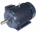 Marathon Motors 60 HP, General Purpose Motor, 3-Phase, 1780 Nameplate RPM, 575 Voltage, 364T Frame - 364TTFCD6040