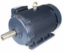 Marathon Motors 125 HP, General Purpose Motor, 3-Phase, 1770 Nameplate RPM, 460 Voltage, 444T Frame - 444TTFCD6036