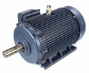 Marathon Motors 150 HP, General Purpose Motor, 3-Phase, 1790 Nameplate RPM, 460 Voltage, 445T Frame - 445TTFCD6036