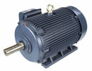 Marathon Motors 125 HP, General Purpose Motor, 3-Phase, 1190 Nameplate RPM, 460 Voltage, 445T Frame - 445TTFCD6086