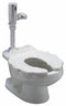 Zurn Single Flush, Sensor, Two Piece, Child Flush Valve Toilet, Elongated - Z5675.213.09.00.00