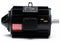 Marathon Motors 5 HP Vector Motor,3-Phase,1770 Nameplate RPM,230/460 Voltage,Frame 184TC - 184THTY17038