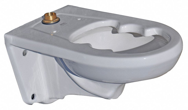 American Standard Elongated, Wall, Flush Valve, Bedpan Holding Toilet Bowl, 1.28 to 1.6 Gallons per Flush - 2296019EC.020