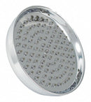 Trident 48LX52 - Shower Head Wall Mount 8in.Face dia.