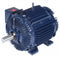 Marathon Motors 40 HP Cooling Tower Motor,3-Phase,1780 Nameplate RPM,230/460 Voltage,Frame 324TV - 324TTTCD16535