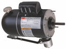 Dayton 1/4 HP Oscillating Fan Motor, Permanent Split Capacitor, 1075/875 Nameplate RPM,115 Voltage, Frame 4 - 4C354