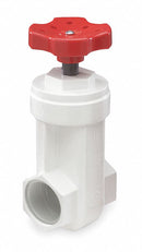NDS Gate Valve, PVC, FNPT Connection Type, Pipe Size - Valves 1 in - GVP-1000-T