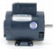 Leeson 1/2 HP 50 Hz Motor,Capacitor-Start,1425 Nameplate RPM,110/220 Voltage,Frame 56 - 110395