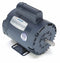 Leeson 1/2 HP 50 Hz Motor,Capacitor-Start,1425 Nameplate RPM,110/220 Voltage,Frame 56 - 110395