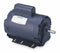Leeson 1 HP 50 Hz Motor,Capacitor-Start,2850 Nameplate RPM,110/220 Voltage,Frame 56H - 114228