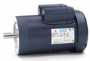 Leeson 2 HP 50 Hz Motor,Capacitor-Start,2850 Nameplate RPM,110/220 Voltage,Frame 145TC - 120990