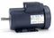 Leeson 3 HP 50 Hz Motor,Capacitor-Start,2850 Nameplate RPM,220 Voltage,Frame 145T - 121070