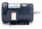 Leeson 2 HP 50 Hz Motor,3-Phase,1440 Nameplate RPM,220/380/440 Voltage,Frame 145T - 121095