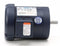 Leeson 3/4 HP 50 Hz Motor,3-Phase,1425 Nameplate RPM,220/380/440 Voltage,Frame 56C - 114894