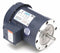 Leeson 3/4 HP 50 Hz Motor,3-Phase,1425 Nameplate RPM,220/380/440 Voltage,Frame 56C - 114894