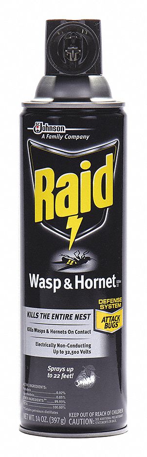 Raid Wasp and Hornet Killer, Aerosol, 14 oz., Outdoor Only, 7.00% DEET Concentration - 668006