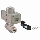 Dynaquip 1 in Spring Return Pneumatic Actuated Ball Valve, 2-Piece - P2S25AJSR06310A