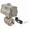 Dynaquip 2 in Double Acting Pneumatic Actuated Ball Valve, 2-Piece - P2S28AJDA075A