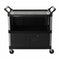 Rubbermaid Enclosed Service Cart, 300 lb. Load Capacity, Polypropylene, Black - FG409500BLA
