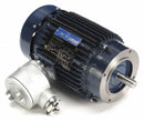 Marathon Motors 2 HP Hazardous Location Motor,3-Phase,1755 Nameplate RPM,230/460 Voltage,Frame 143TC - 145TTGN16034