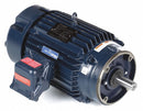 Marathon 215TTGND16029 - Hazardous Location Motor 10 HP