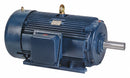 Marathon 447TSTDN16047 - General Purpose Motor 350 HP 1785 rpm