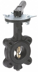 Milwaukee Valve Lug-Style Butterfly Valve, Ductile Iron, 200 psi, 2 1/2 in Pipe Size - ML232B