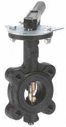 Milwaukee Valve Lug-Style Butterfly Valve, Ductile Iron, 200 psi, 2 in Pipe Size - ML234V