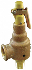 Kunkle Bronze Safety Relief Valve, MNPT Inlet Type, FNPT Outlet Type - 6010DCV01-KM0050