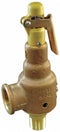 Kunkle Bronze Safety Relief Valve, MNPT Inlet Type, FNPT Outlet Type - 6010DCV01-KM0050