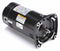 Century 1/2 HP Square Flange Pool Pump Motor, Capacitor-Start, 3450 Nameplate RPM, 115/230 Voltage, 48Y Fram - SQ1052